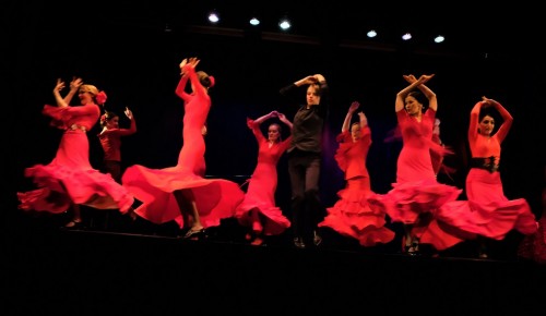 В «Меридиане» открылась выставка «Фламенко. Flamenco»