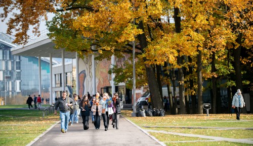 Прогулка с толком: где провести время на осенних каникулах