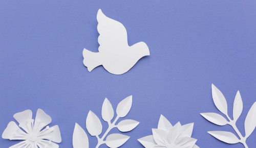 В библиотеке №184 состоится мастер-класс «Голубь мира» 1 ноября