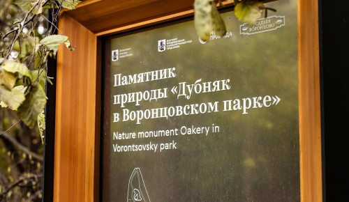 Жителям ЮЗАО раскрыли тайны многовековой дубравы в усадьбе Воронцово