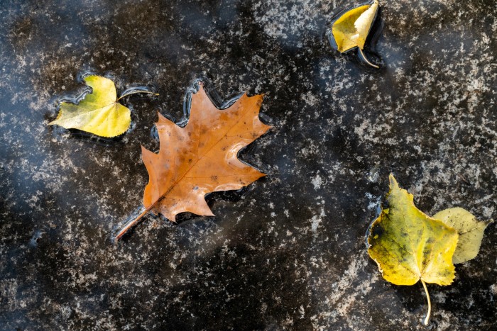 Магнитные бури в ноябре: что делать метеочувствительным людям