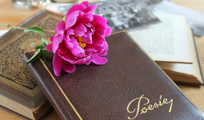 ЦМД «Северное Бутово» проведет 31 октября поэтическую программу и концерт