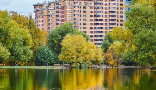 Жителей ЮЗАО приглашают в усадьбу Воронцово на прогулку у воды