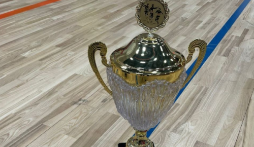 Команда «Лион» из Северного Бутова выиграла городские соревнования по мини-футболу