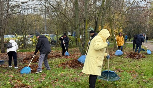 В районе Коньково состоялся традиционный осенний субботник