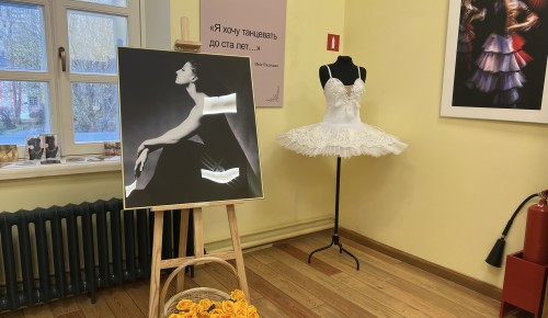 Батман тандю в фарфоре: в усадьбе Воронцово открылась выставка к 100-летию Майи Плисецкой