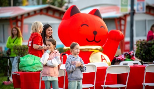 Отмечаем всю неделю: праздничные мероприятия ко Дню народного единства в ЮЗАО