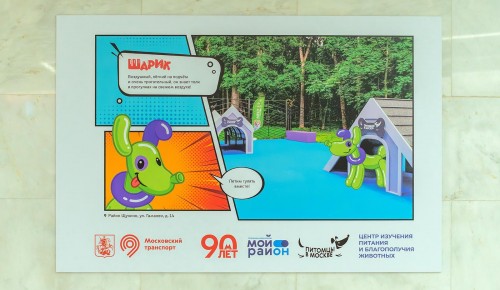 Фотовыставка «Питомцы в Москве» открылась в переходе на станции метро «Новаторская»