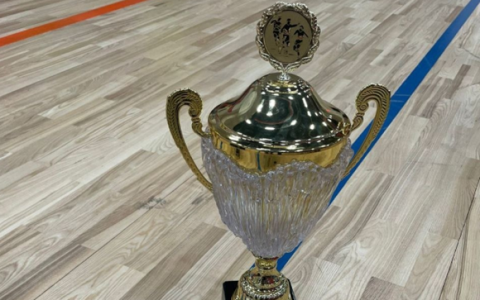 Команда «Лион» из Северного Бутова выиграла городские соревнования по мини-футболу