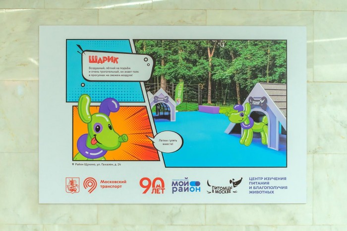 Фотовыставка «Питомцы в Москве» открылась в переходе на станции метро «Новаторская»