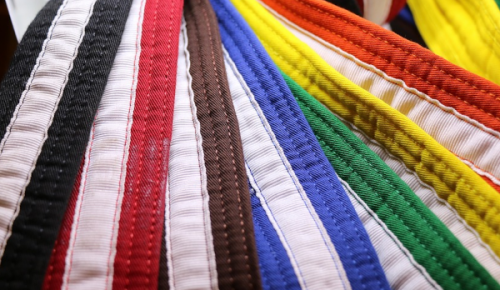 В центре «Атлант» на Ратной улице 9 ноября состоятся соревнования по тхэквондо