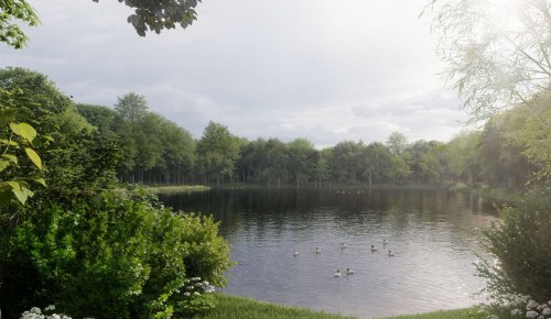 В «Битцевском лесу» началась реабилитация Новоясеневского пруда