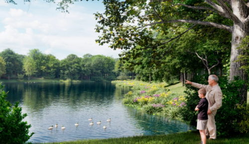 Началась комплексная реабилитация Новоясеневского пруда