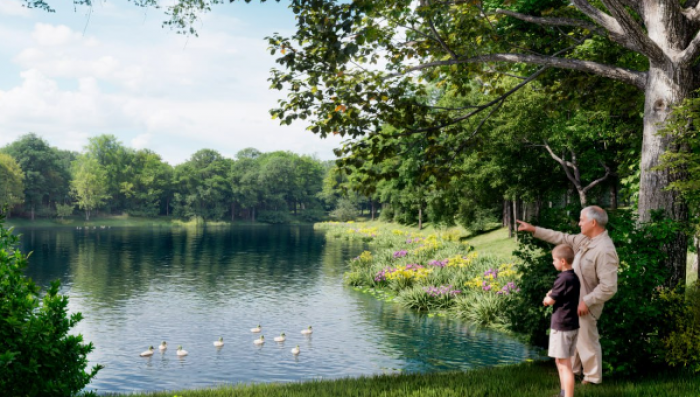 Началась комплексная реабилитация Новоясеневского пруда