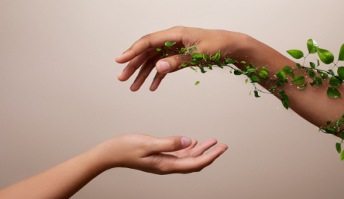 В экоцентре «Битцевский лес» 16 ноября пройдёт квест «Лучший город Земли»