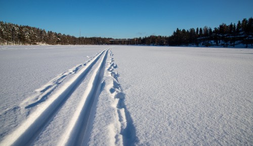 В Теплом Стане зимой появится лыжная трасса