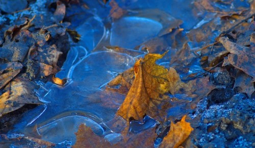 Представители  Управления по ЮЗАО Департамента ГОЧСиПБ напомнили о правилах безопасности вблизи водоемов