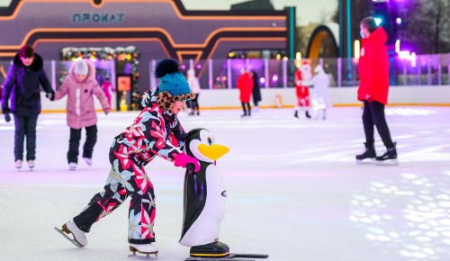 В Теплом Стане зальют каток в рамках «Московских сезонов»