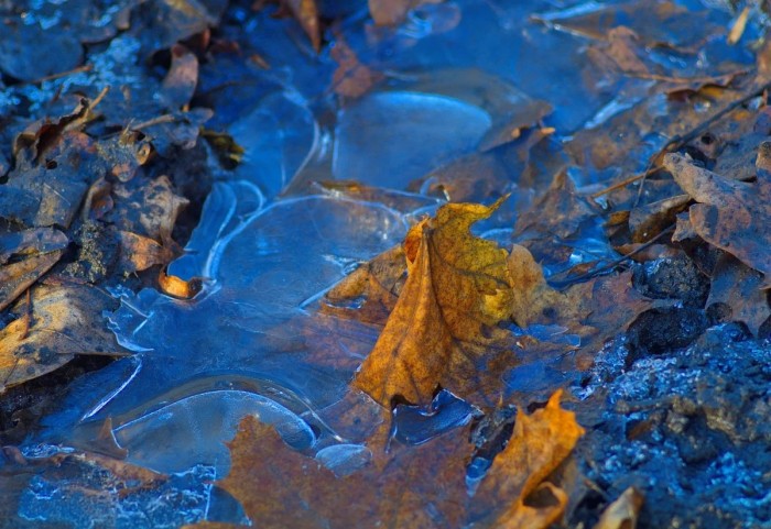 Представители  Управления по ЮЗАО Департамента ГОЧСиПБ напомнили о правилах безопасности вблизи водоемов