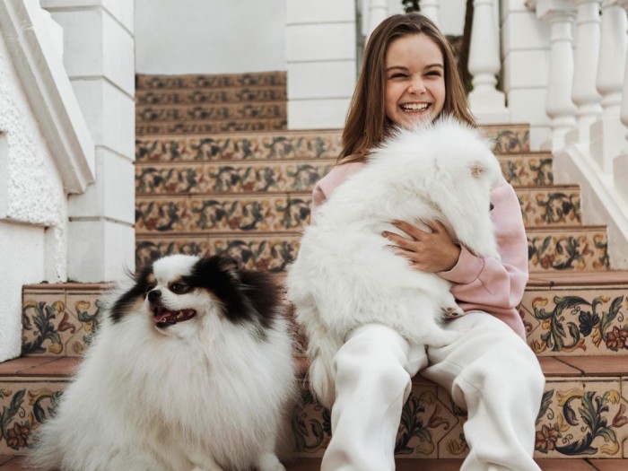 Искусство с лапами: галереи Юго-Западного округа открывают двери для питомцев