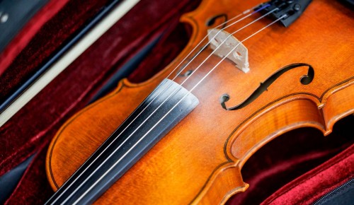 В выходные в Воронцовском парке москвичам предлагают потанцевать, нарисовать акварель, послушать акустические каверы