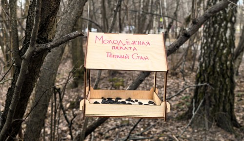 Члены молодежной палаты Теплого Стана приглашают желающих развесить кормушки в зоне отдыха «Тропарево»