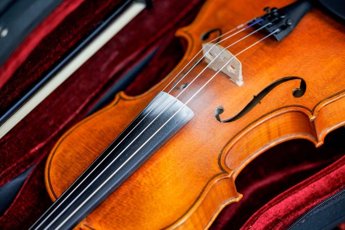 В выходные в Воронцовском парке москвичам предлагают потанцевать, нарисовать акварель, послушать акустические каверы