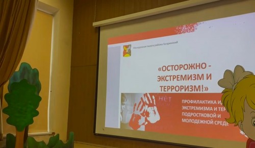 Члены молодежной палаты Гагаринского района провели лекцию для школьников