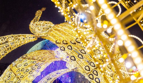 Около здания цирка на проспекте Вернадского смонтировали световые инсталляции