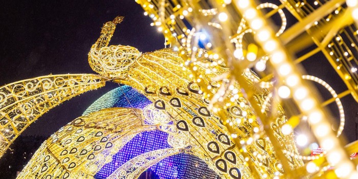 Около здания цирка на проспекте Вернадского смонтировали световые инсталляции