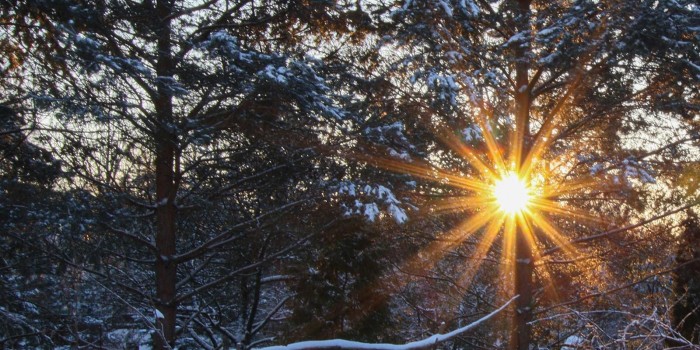 В экоцентре «Битцевский лес» 5 декабря расскажут сказочные истории о природе