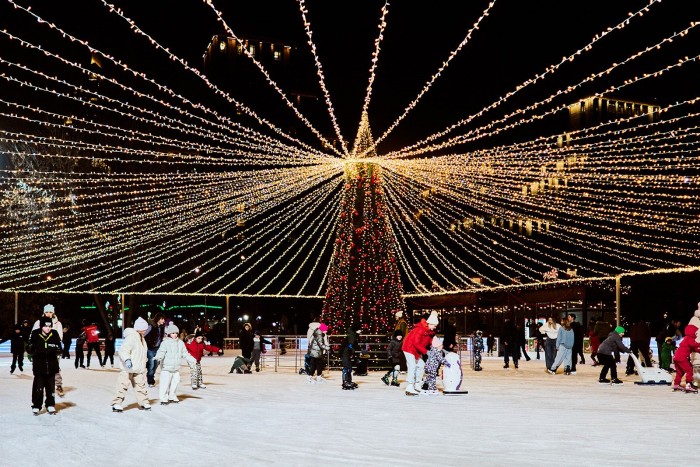 «Сокольники», «Коломенское», «Фили»: в каких столичных парках открылись катки