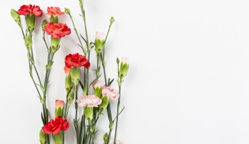 Жители Академического района почтят память героев битвы за Москву