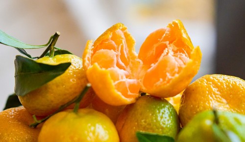 На ярмарке в Черемушках стартовала акция «Подвешенный мандарин»