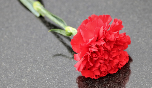 В Северном Бутове прошла мемориальная акция «Мы под Москвой стояли насмерть»