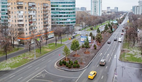 Собянин: Около 3,2 тыс. деревьев-крупномеров высадили на Профсоюзной улице