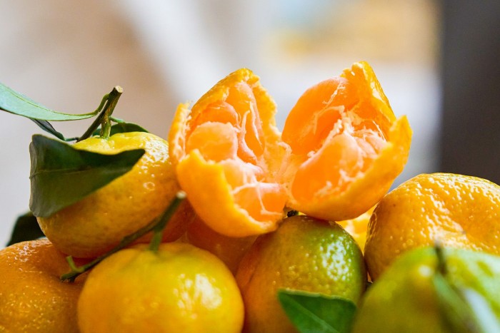 На ярмарке в Черемушках стартовала акция «Подвешенный мандарин»