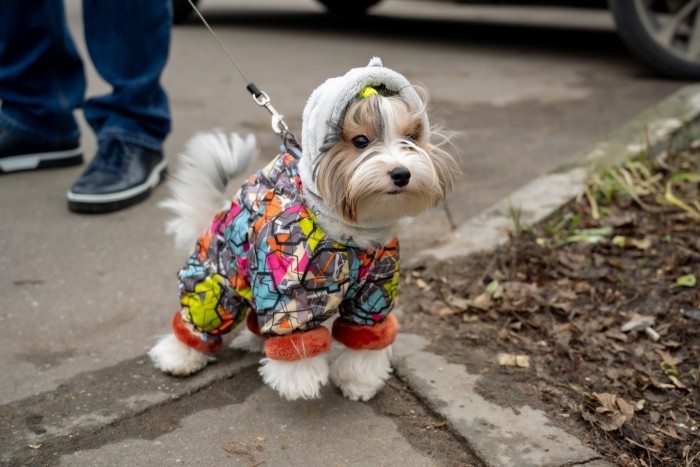 Сначала слякоть, потом гололедица: подробный прогноз погоды в столице на 8–14 декабря
