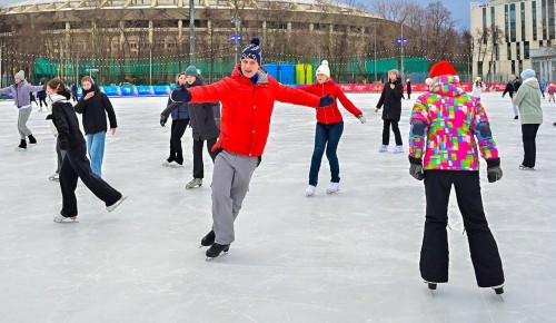 Мастера спорта проведут бесплатный урок по фигурному катанию в Гагаринском районе