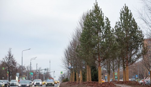 Профсоюзная улица в Черемушках преобразилась после благоустройства