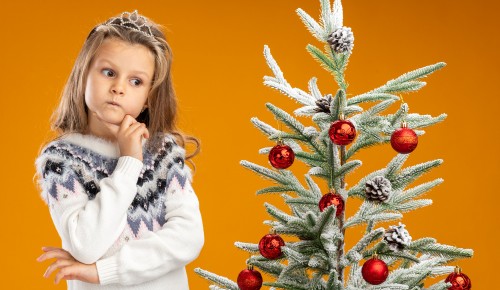 В библиотеке №173 пройдет мастер-класс «Зимнее настроение» 13 декабря