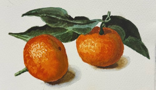 В Академии акварели и изящных искусств С. Андрияки пройдет серия мастер-классов в декабре