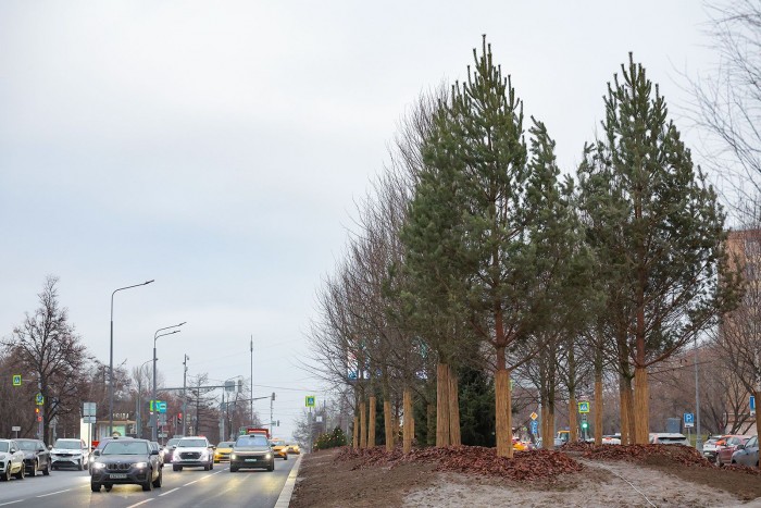 Профсоюзная улица в Черемушках преобразилась после благоустройства