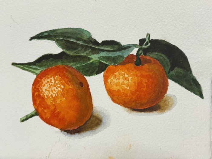 В академии акварели и изящных искусств С. Андрияки пройдет серия мастер-классов в декабре