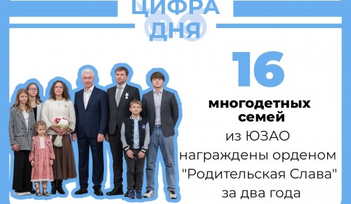 Семья из Котловки награждена орденом «Родительская слава»