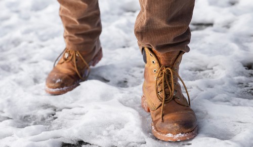 Жителей Ломоносовского района приглашают на встречу с главой управы 18 декабря