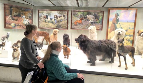 Воспитанники реабилитационного центра «Бутово» посетили Дарвиновский музей