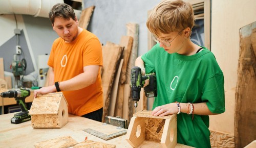 Защитить от метелей и снежных бурь: как помочь зимующим в столице птицам