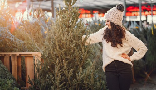 В Гагаринском районе открылись три елочных базара