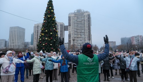 Предновогоднюю оздоровительную прогулку по тропам Битцевского леса организовали в ЮЗАО